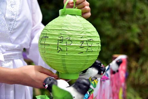 七夕节吃瓜现场视频在线观看,现场视频带你一睹为快