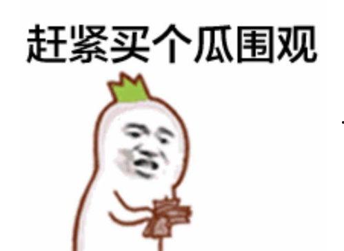 吃瓜群众来看评论视频是真的吗,真假难辨的真相大揭秘