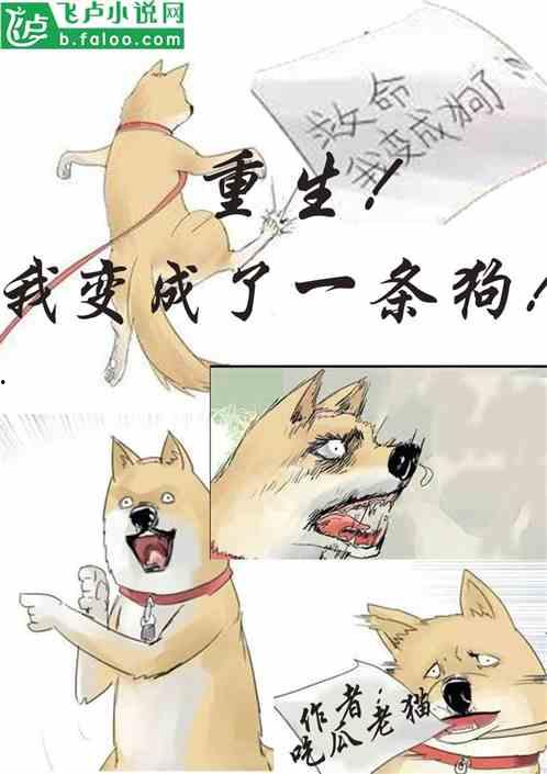 一只吃瓜小猫的故事视频,瓜田小猫的欢乐食趣记