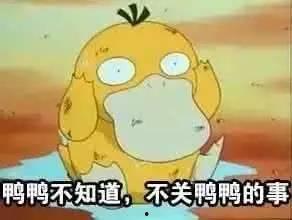 带你吃瓜鸭鼠兽搞笑视频,带你笑翻天的“带你吃瓜鸭鼠兽”搞笑视频大揭秘