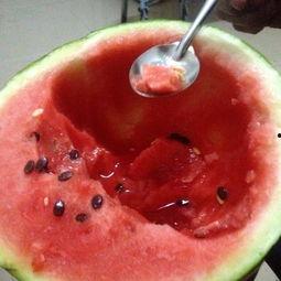 吃瓜大赛素材视频,一场视觉盛宴与味蕾狂欢的较量