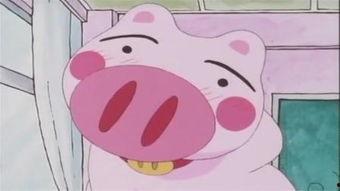 晴天小猪吃瓜视频,萌态十足引网友热议