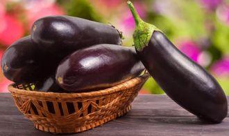 茄子烧八月瓜可以吃吗视频