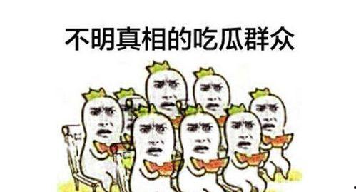 吃瓜群众暴富视频播放全集,揭秘全民致富背后的秘密与机遇