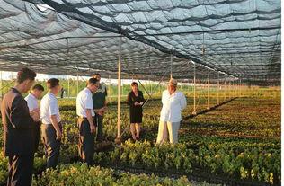 考察苗圃吃瓜视频,揭秘娱乐圈幕后趣闻