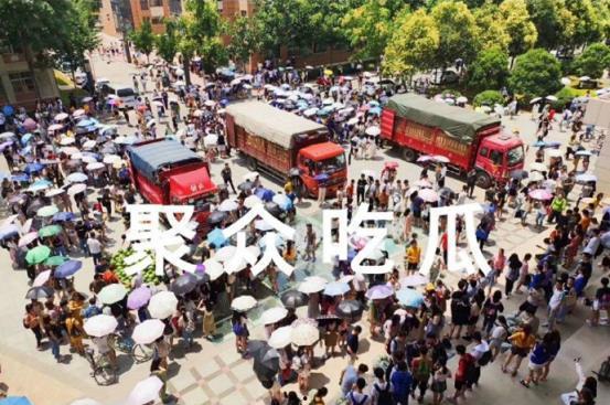 高校亭子吃瓜视频,高校学子夏日休闲新风尚