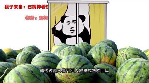 二哥的吃瓜视频,揭秘娱乐圈幕后故事