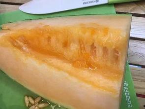 怎么看柳州吃瓜视频,揭秘当地美食文化魅力