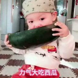 吃小瓜的小孩视频播放大全