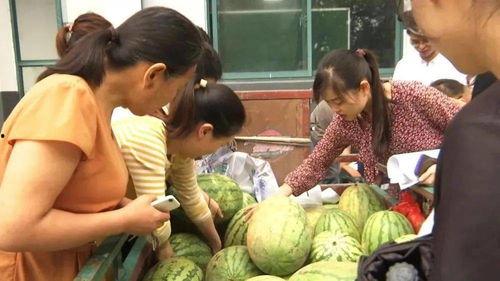 抚州吃瓜事情视频曝光,真相与争议交织